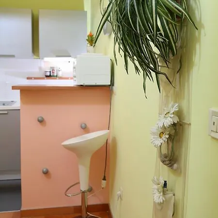 Marmont 스플리트